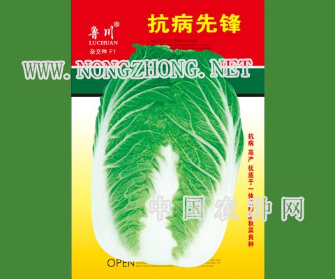 抗病先锋